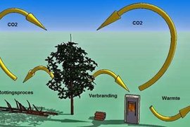 CO2_Cyclus.jpg